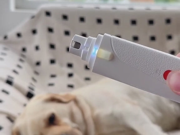 Cortauñas LED profesional para Mascotas